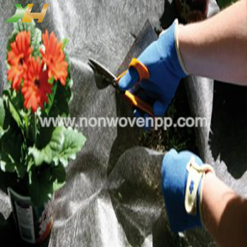 pp non woven fabric